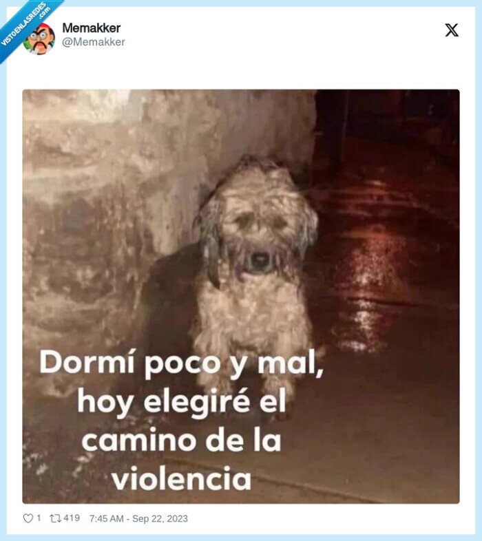perro,dormir,poco,mal