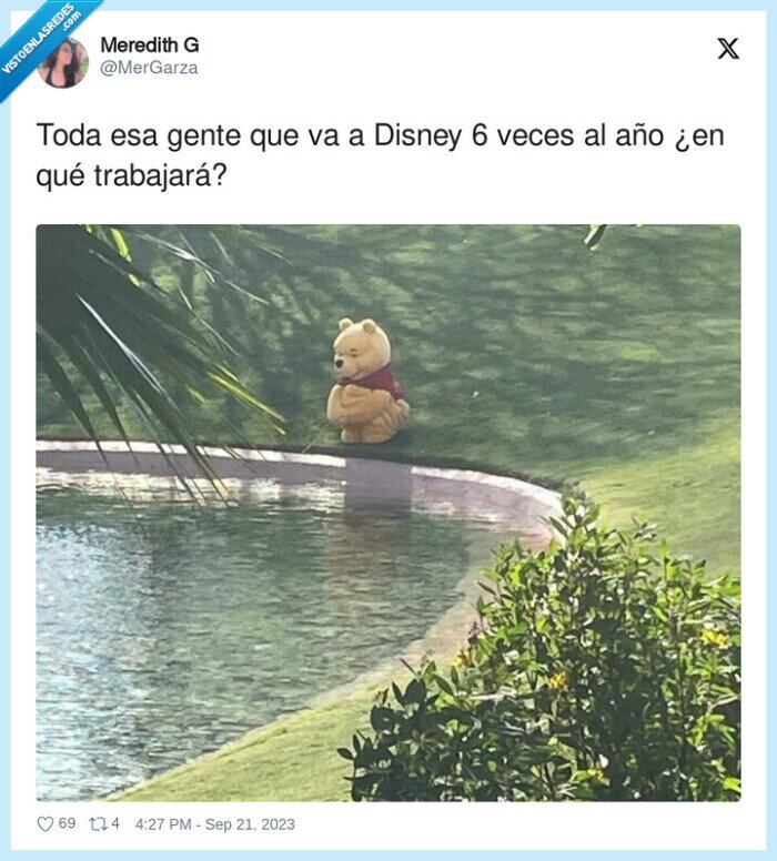 visitar,viajes,disney,gente