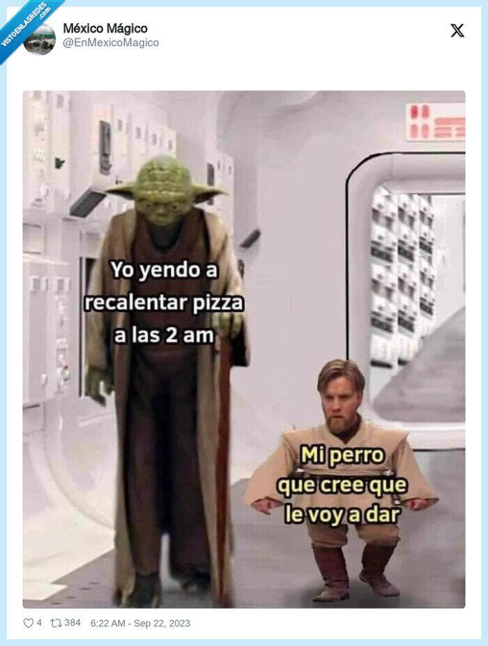 perro,recalentar,pizza