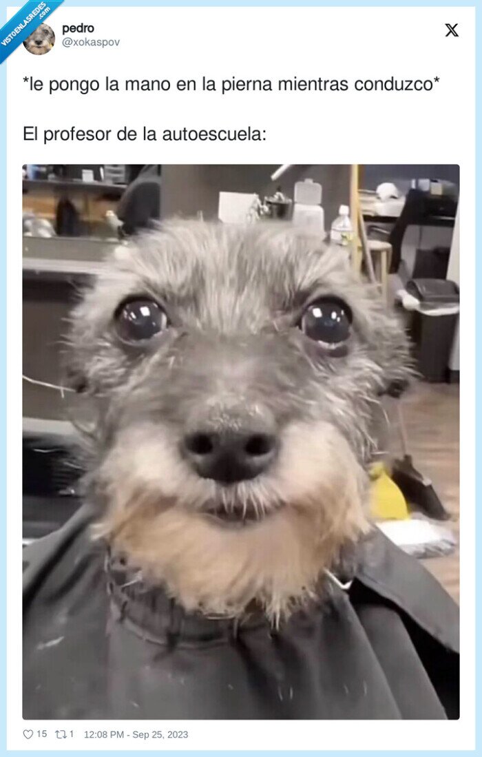 autoescuela,conducir,profesor,pierna