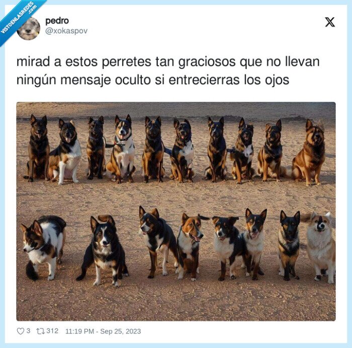 mensaje,perro sanxe,perros,efecto,ia