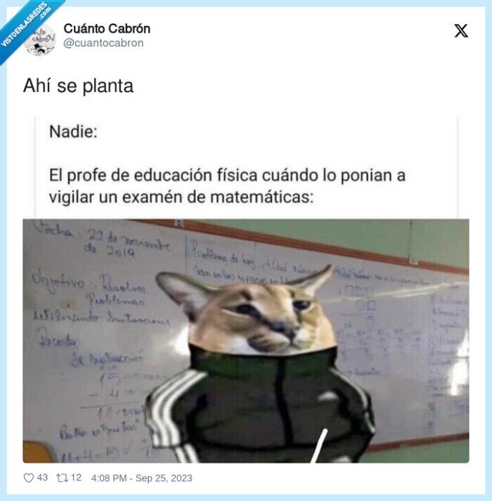 profesor,gimnasia,examen