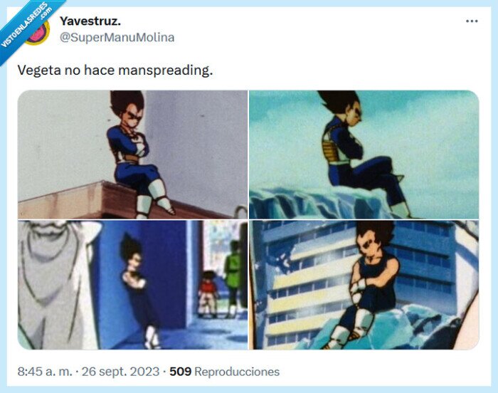 vegeta,piernas,manspreading