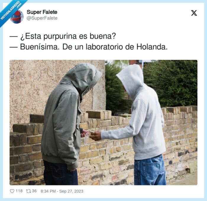 laboratorio,purpurina,holanda,buena