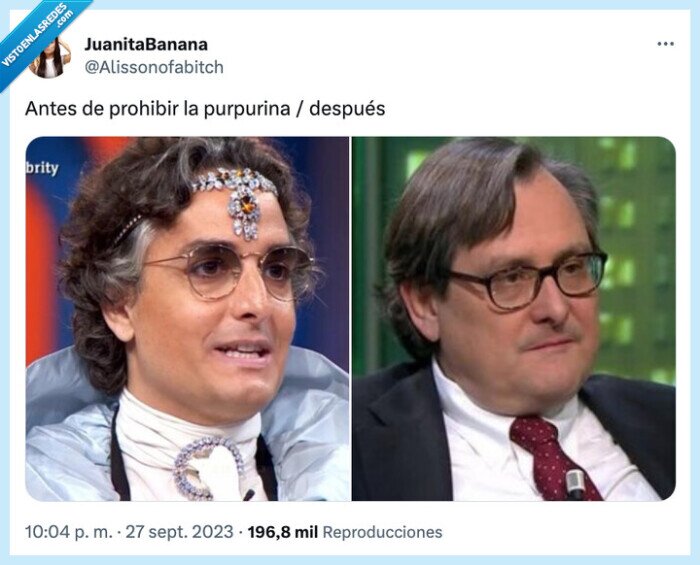 purpurina,prohibir,josie