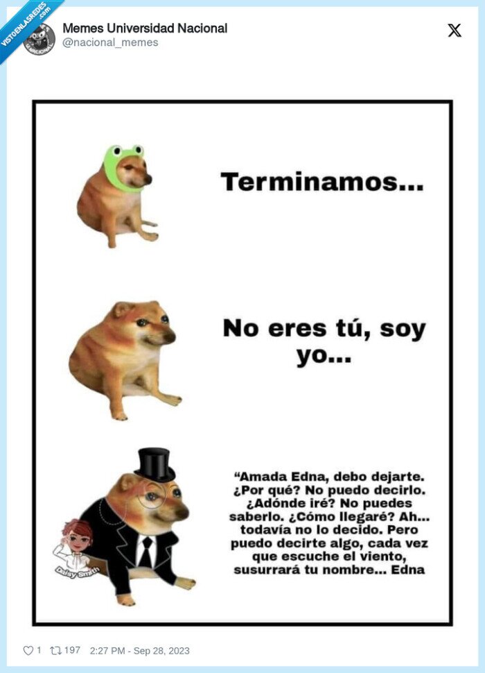dejar,elegancia,excusas,doge