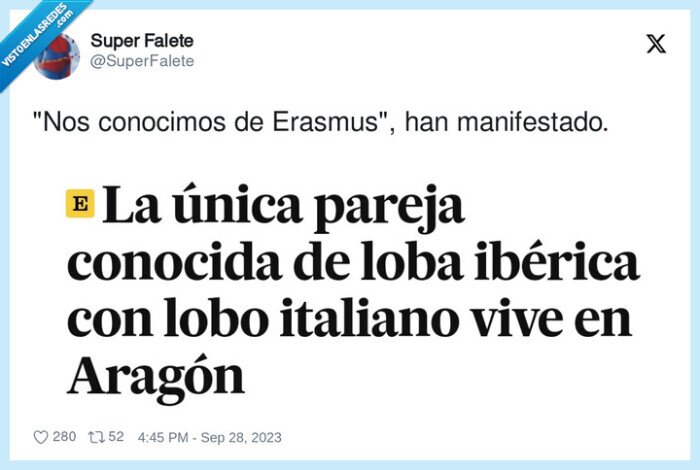 lobo italiano,loba ibérica,erasmus