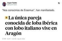 Enlace a Ayyy bendito Erasmus, por @SuperFalete