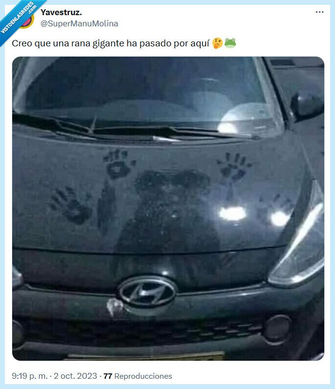 rana,gigante,coche,polvo