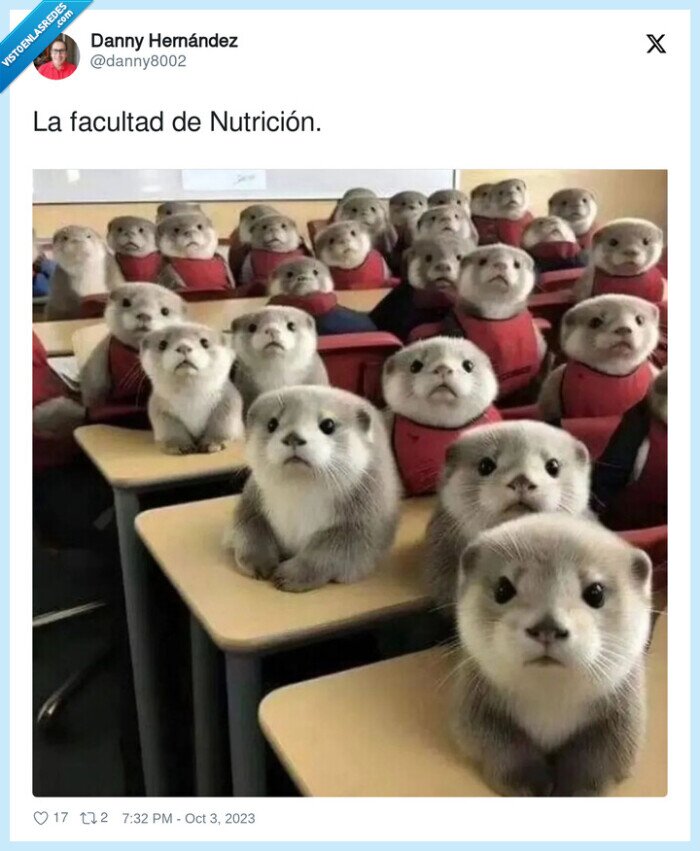 nutrición,facultad