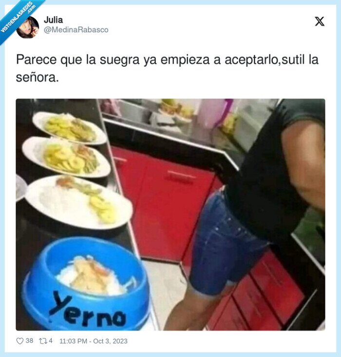 aceptarlo,sutil,comida,señora,suegra,yerno,perro