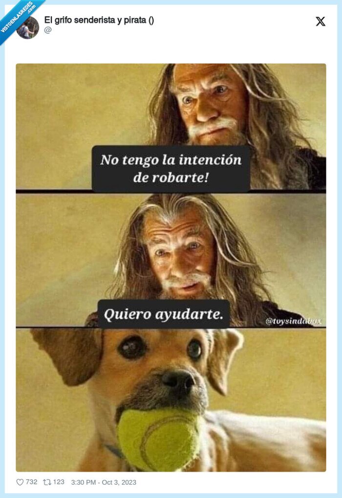 perro,jugar,pelota,robar