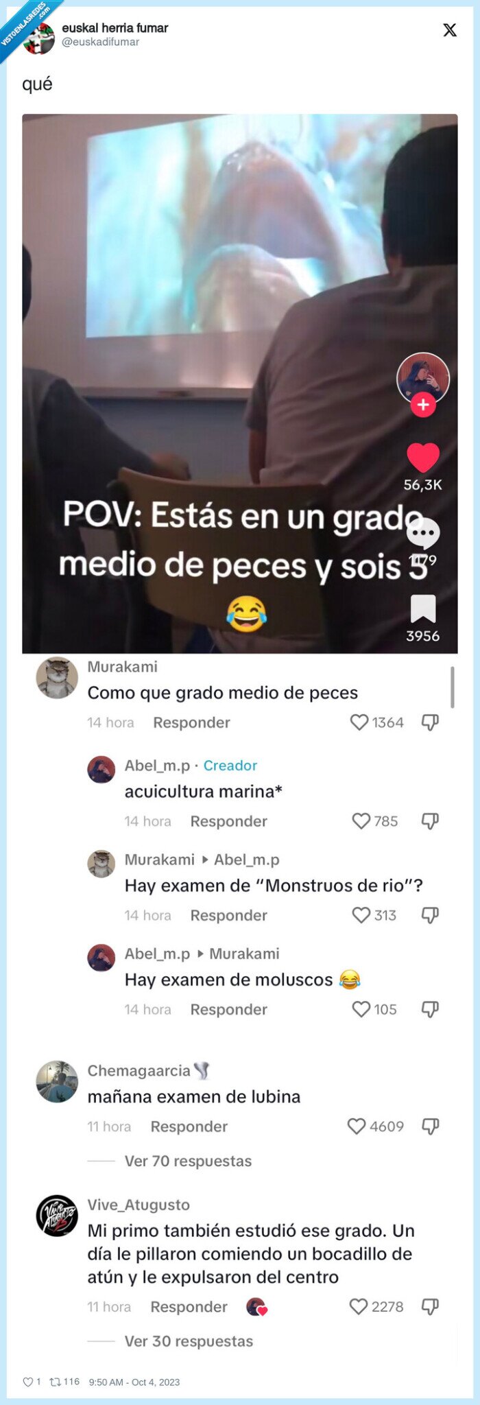 grado medio,peces,marino