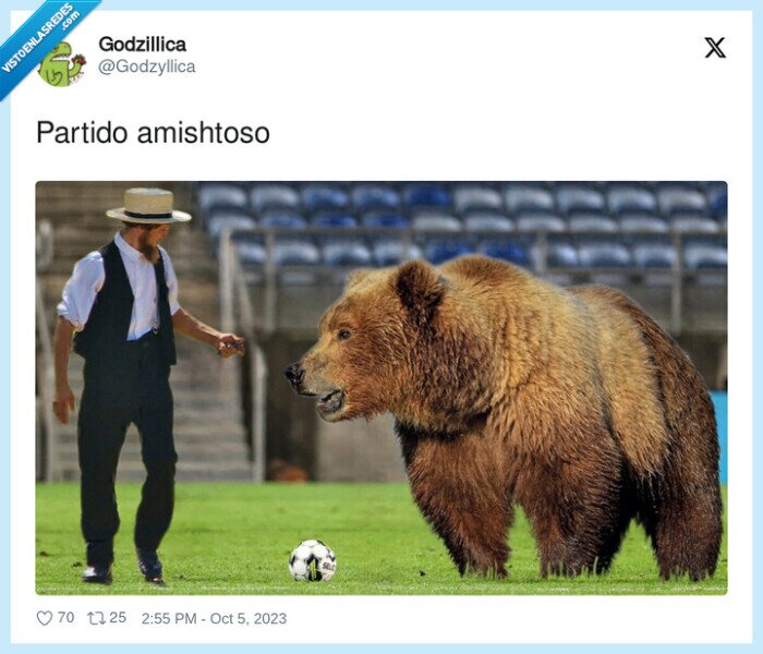 amishtoso,partido,amish,oso