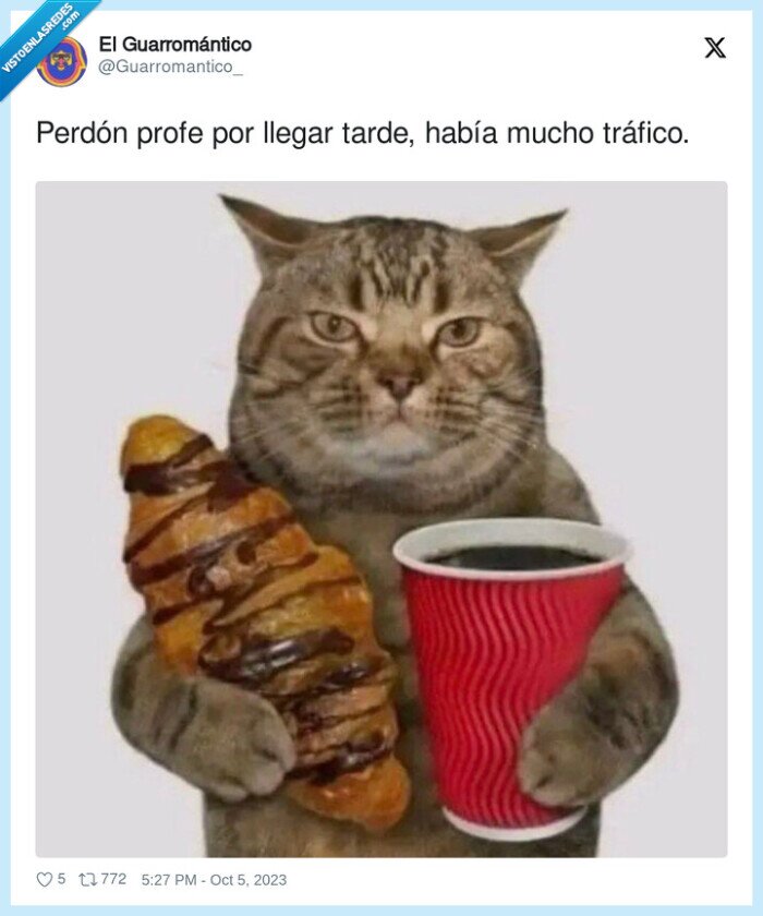 perdón,llegar,tarde,profe