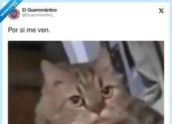 Enlace a No es nada personal, por @Guarromantico_