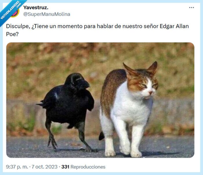 edgar allan poe,cuervo,gato