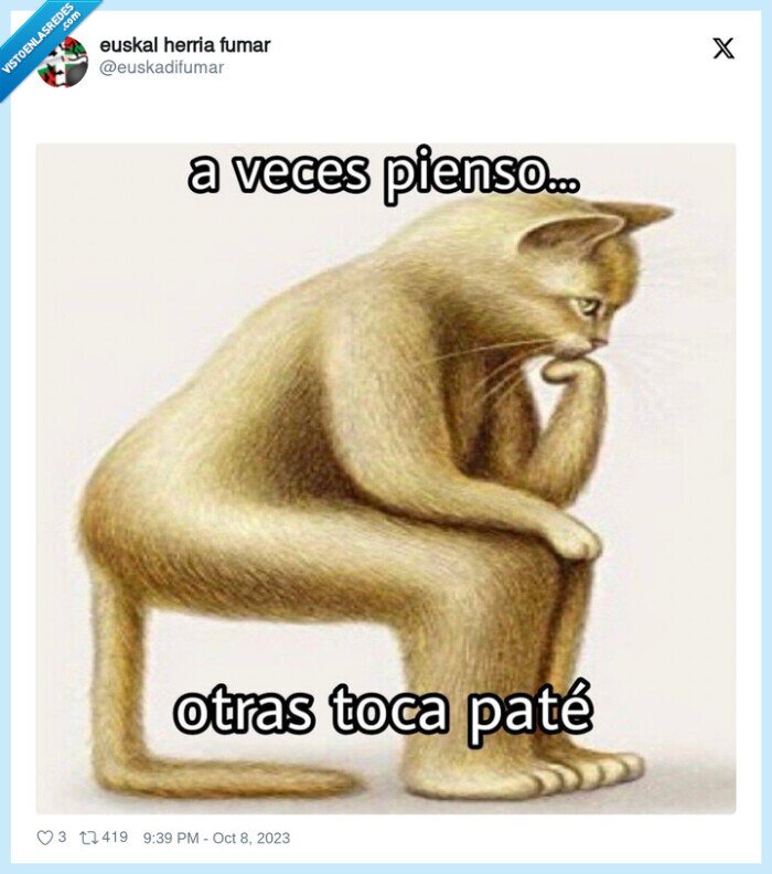 gato,pensar,paté