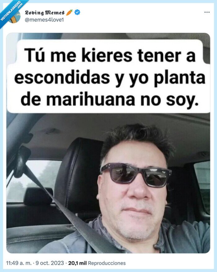 escondidas,planta,maria,querer