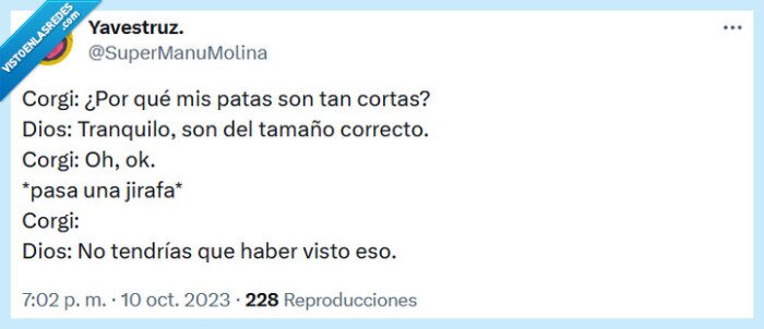 corgi,jirafa,patas,dios