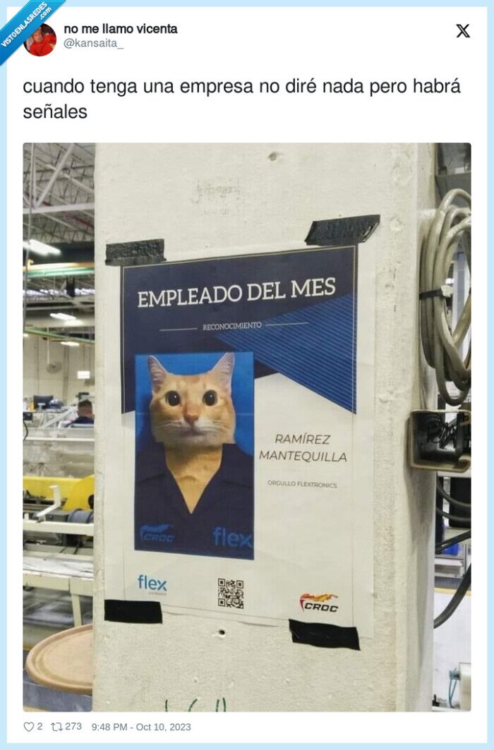 señales,empresa,gato,empleado del mes
