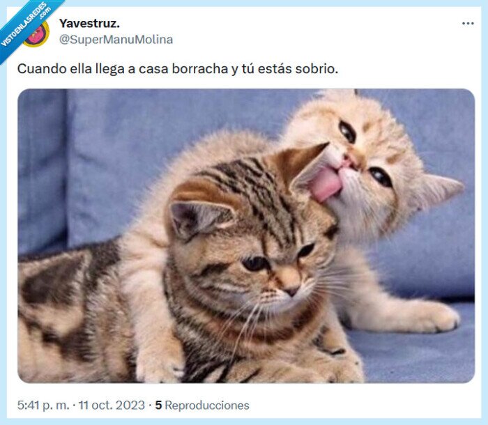 sobrio,borracha,casa