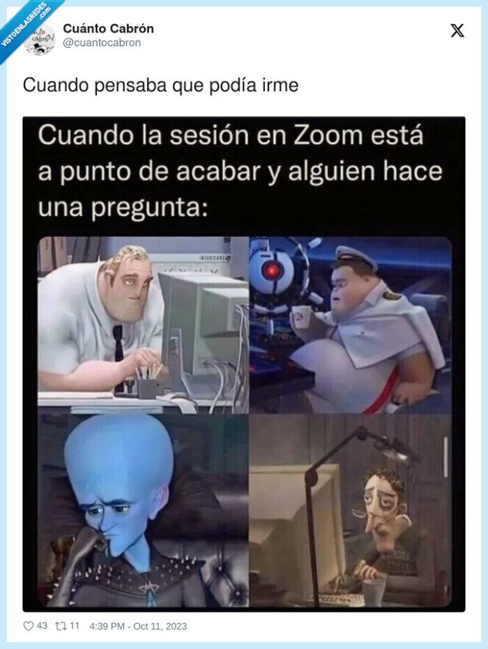 preguntas,zoom