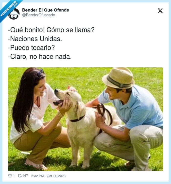 guerra,onu,hacer algo,perro,tocar