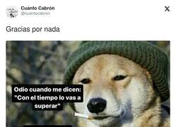 Enlace a Gracias por nada, por @cuantocabron