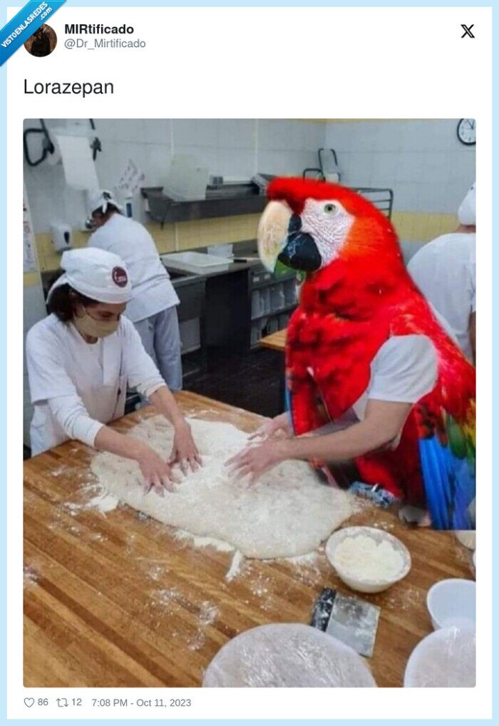 lorazepan,pan,loro,harina