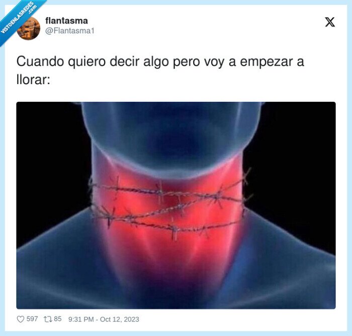 empezar,nudo,gargante,llorar