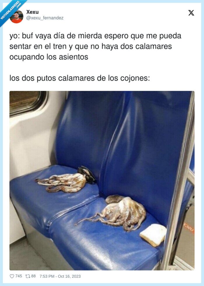 calamares,ocupando,asientos,mierda