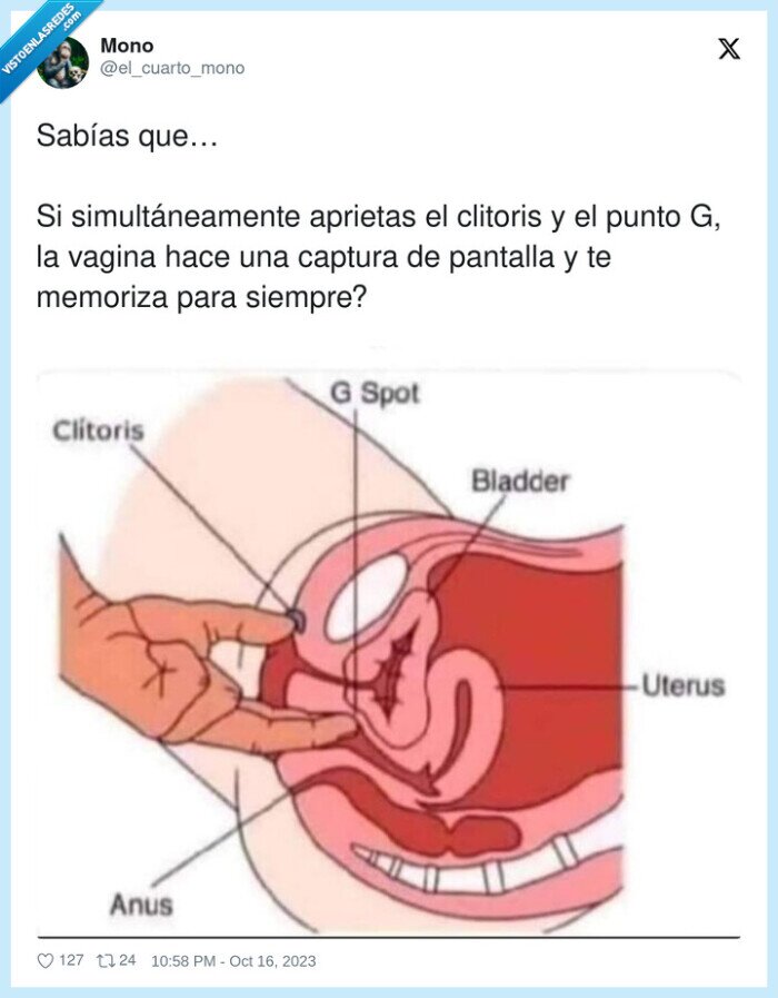 simultáneamente,aprietas,pantalla,memorizar,sexo