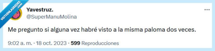 paloma,ver,dos veces