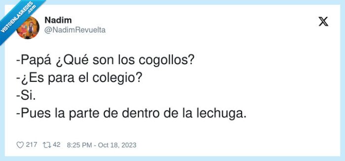 cogollos,colegio,lechuga,dentro,padre