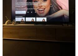 Enlace a No sé cuál de las dos es más tonta: Lolalolita dice que mirará el documental pero no está ni suscrita. La otra la pilla