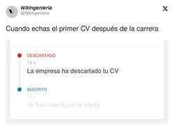 Enlace a Resumen de mi vida laboral, por @Wikingenieria