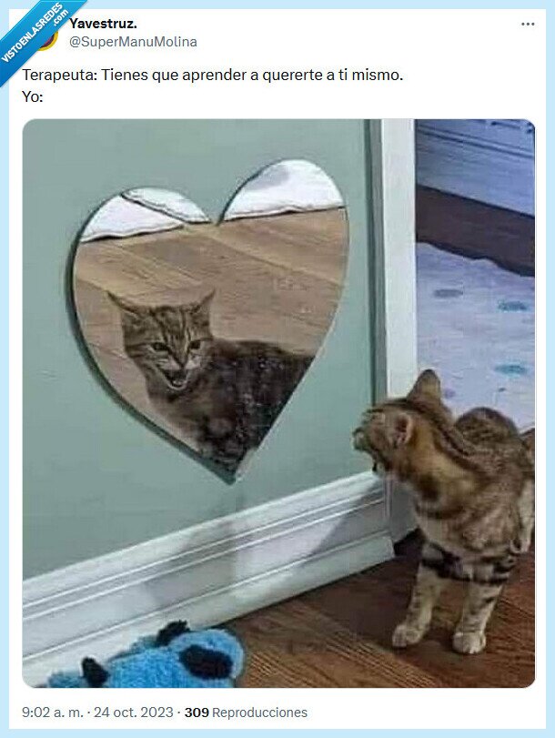 aprender,terapeuta,querer