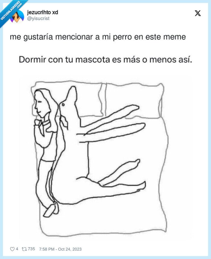 cama,espacio,mascota,perro,gato