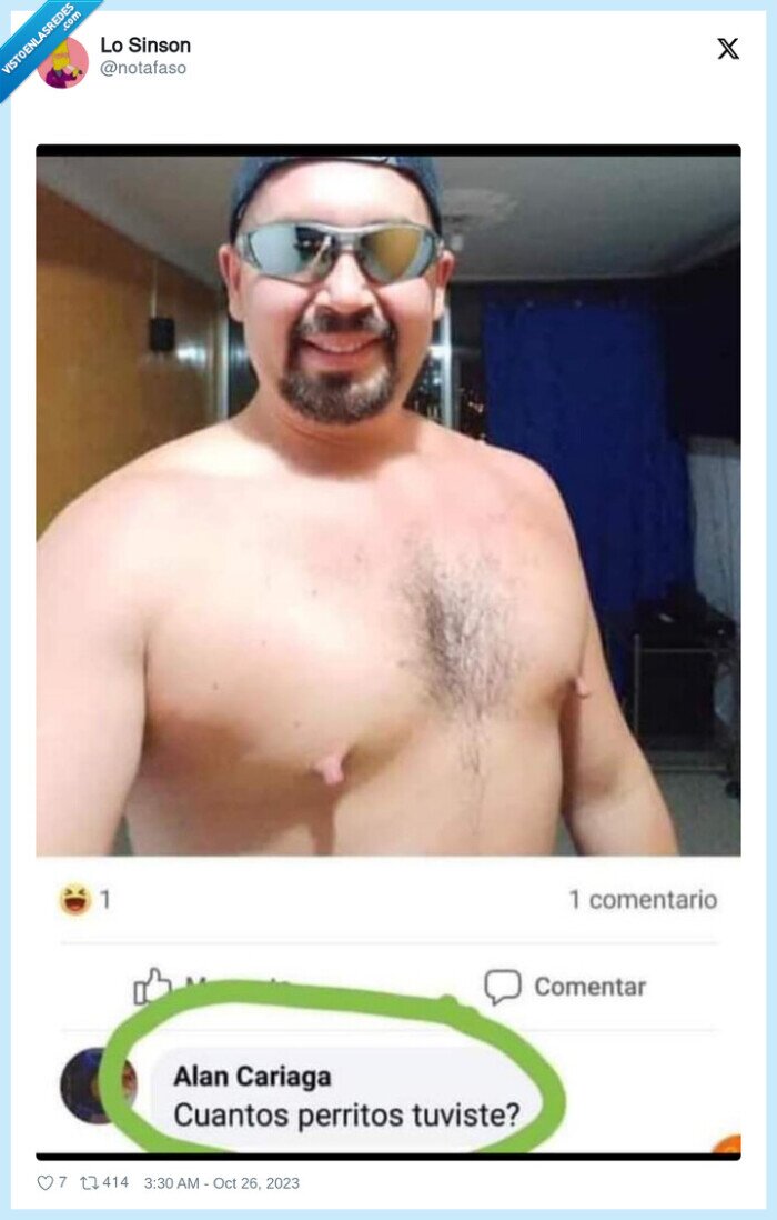 tetillas,grandes,perritos