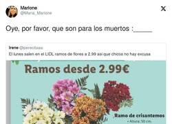 Enlace a Chicos, no hay excusa para ir al cementerio, por @Maria_Marione