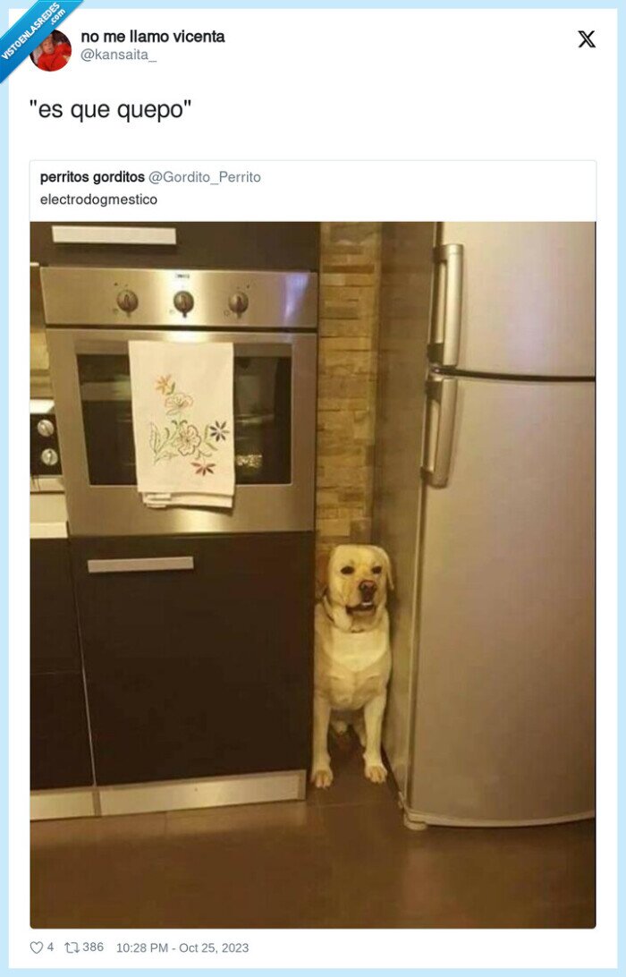 perro,electrodoméstico,nevera