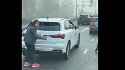 Enlace a En Países Bajos han inventado un método muy moderno para poder circular en zonas de bajas emisiones sin que te multen