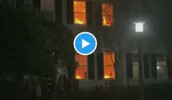 Enlace a Esta decoración de Halloween parece tan real que provoca llamadas a emergencias todos los días