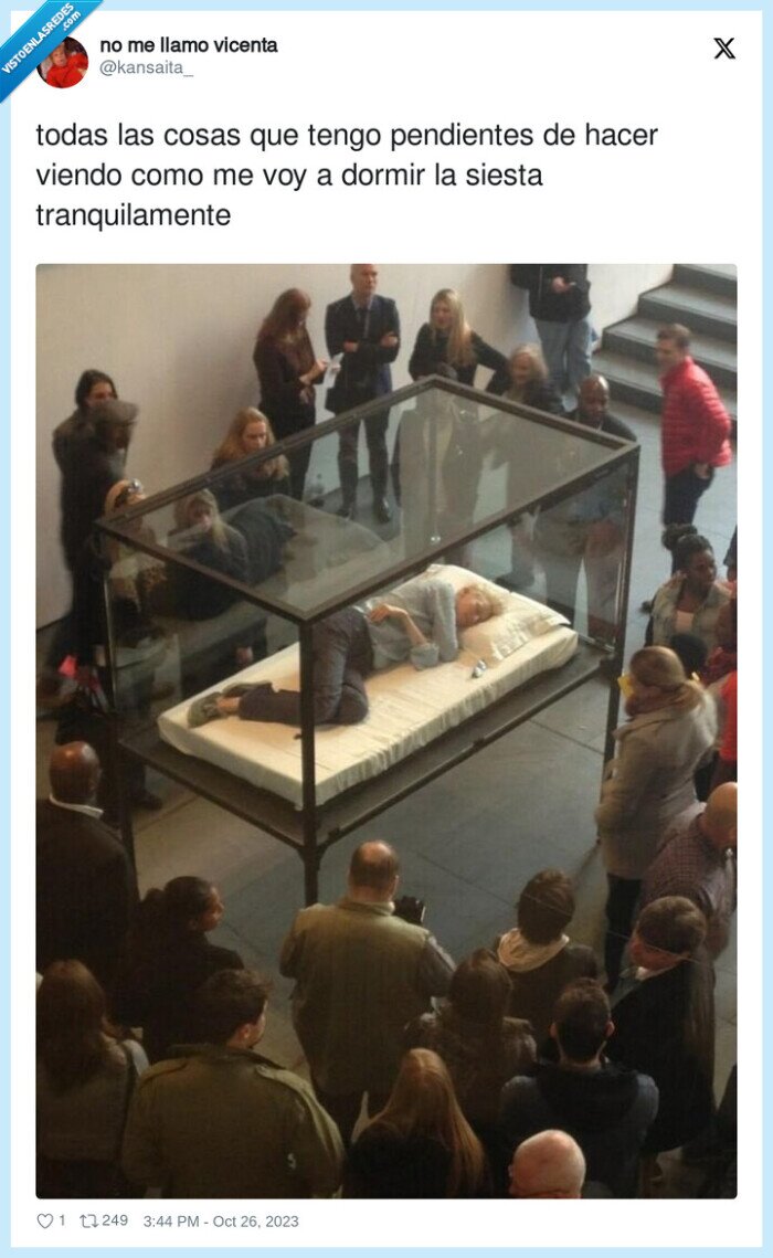 tranquilamente,pendientes,dormir,siesta