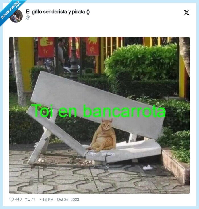 banca rota,bancarrota,dinero,gato
