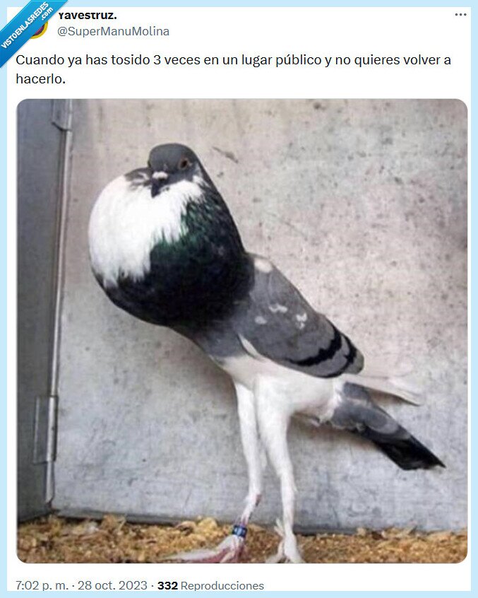toser,público,paloma
