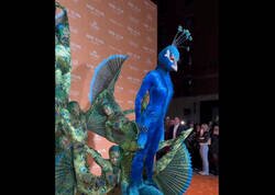 Enlace a Heidi Klum caracterizada se ha vuelto a pasar Halloween disfrazada de pavo real con performance incluida