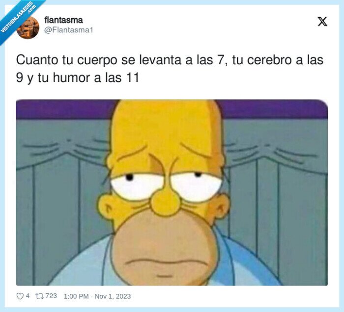 levantarse,cerebro,homer simpson,cuerpo,humor
