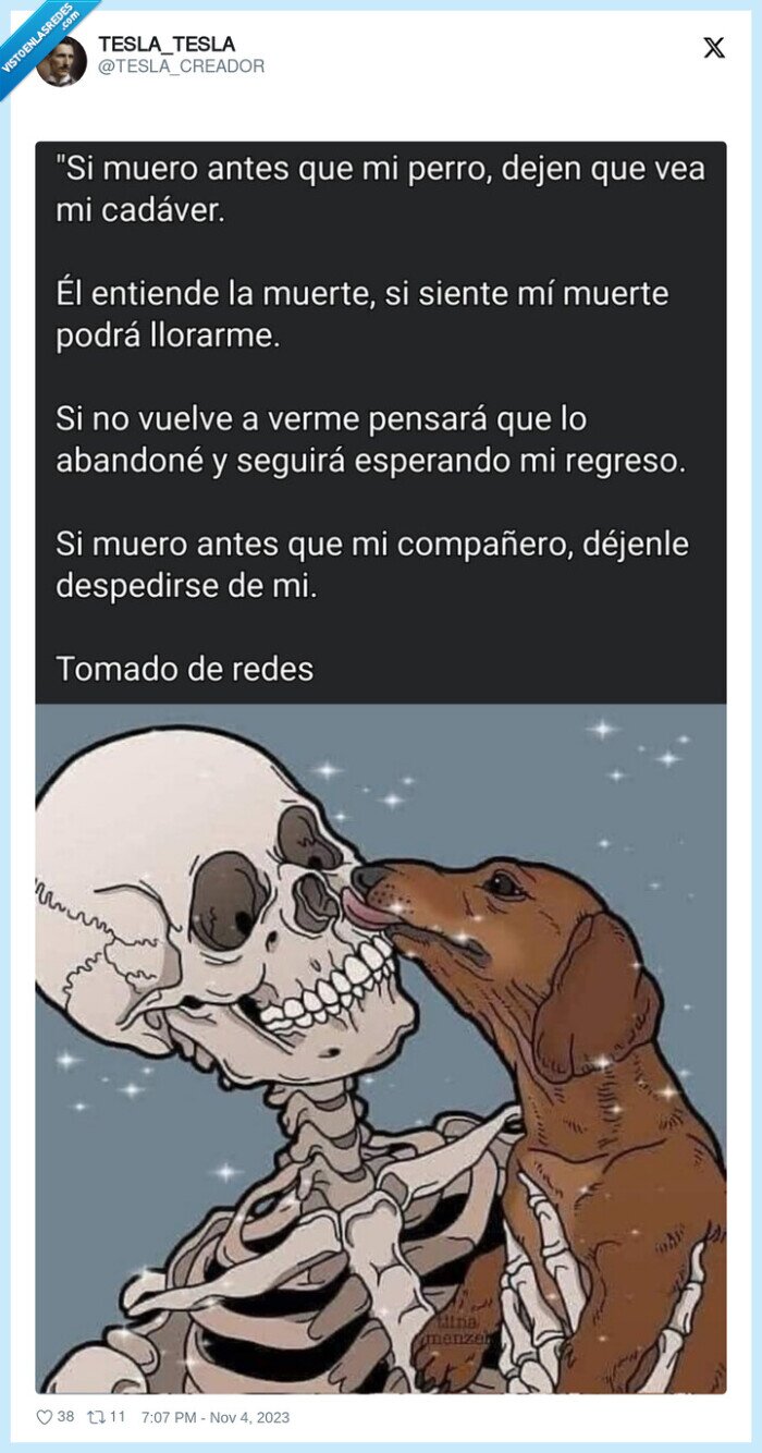 muerte,perro,morir,abandonar